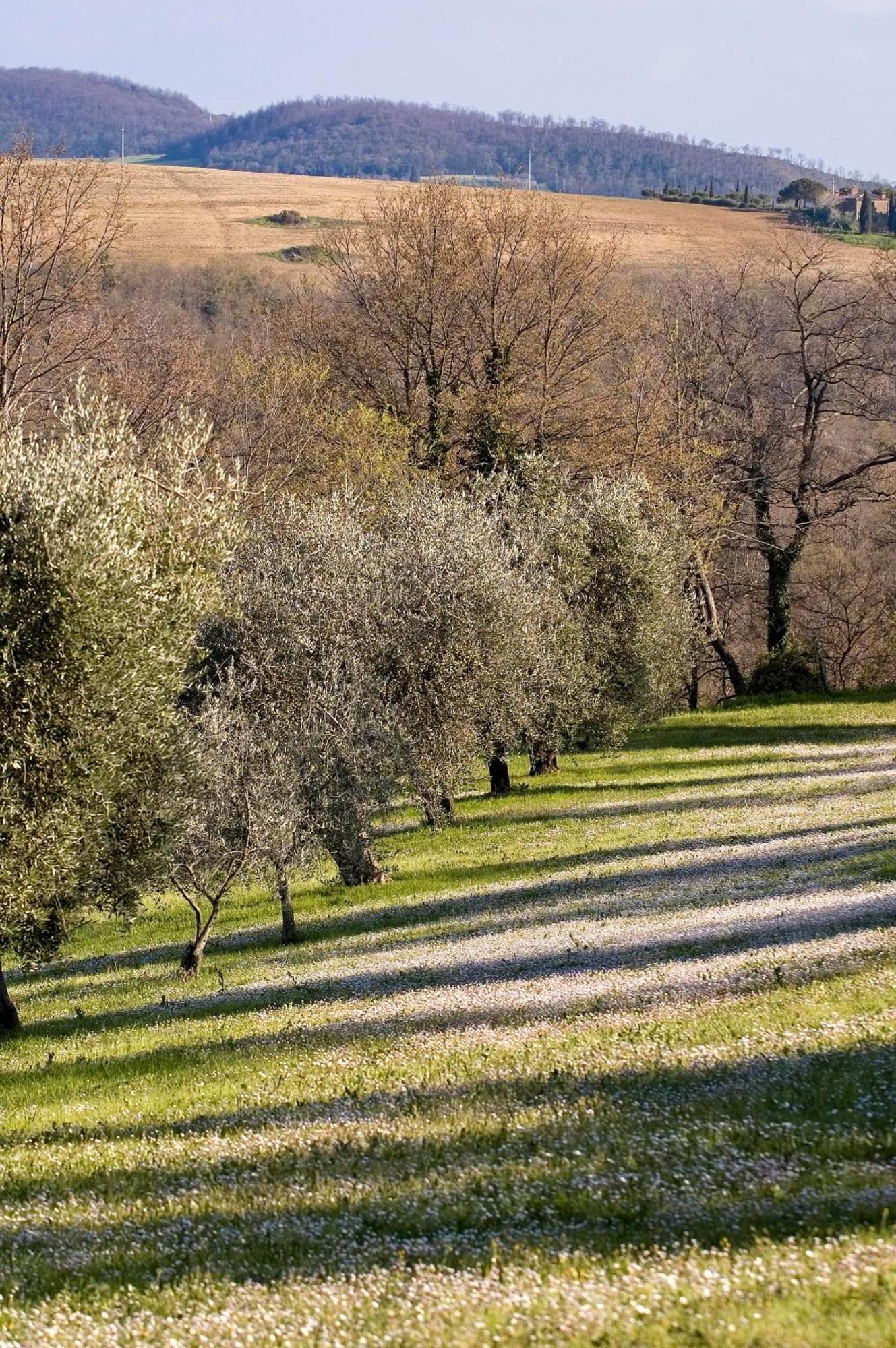 La Saracina Hotel Pienza Buitenkant foto