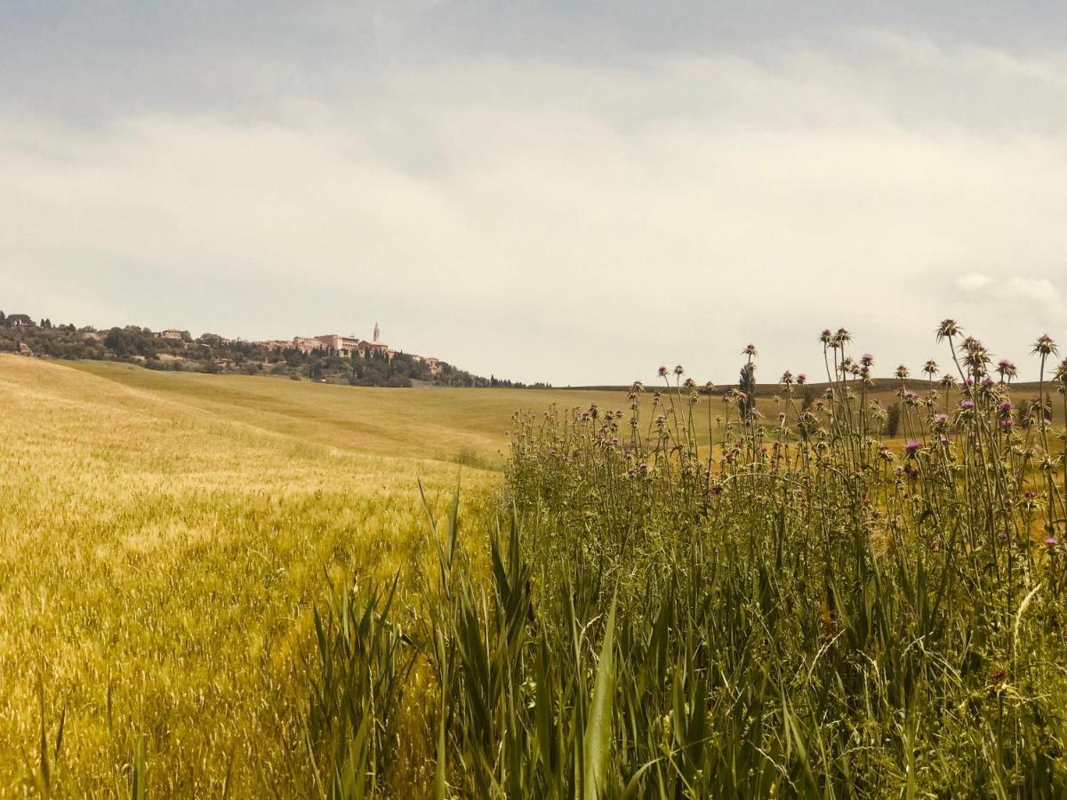 La Saracina Hotel Pienza Buitenkant foto